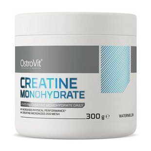 OstroVit Creatine Monohydrate (300 g, orange) 08458-07 фото