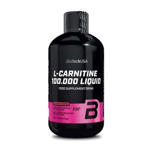 BioTech L-Carnitine 100 000 (500 ml, apple) 00174-02 фото