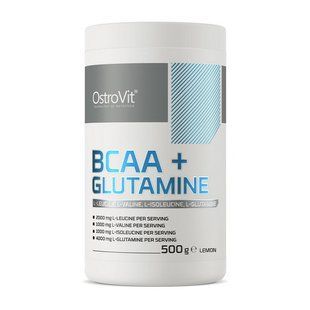OstroVit BCAA+Glutamine (500 g, orange) 08484-02 фото